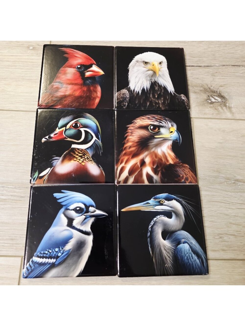 6 Bird Avian Cardinal Eagle Robin Duck Mallard Theme Coaster Tiles